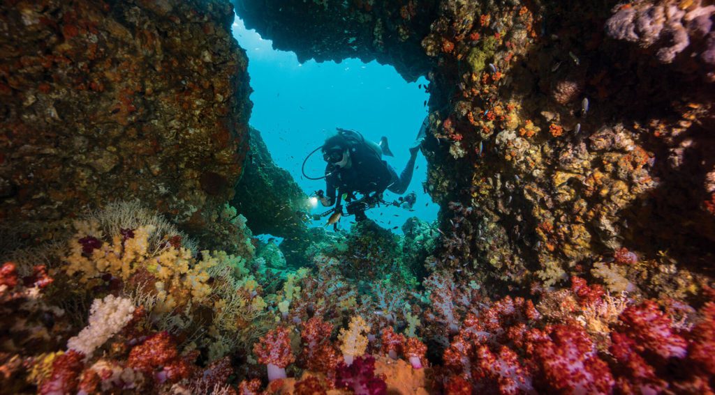 Diver and Window - Best Places For Scuba Diving In Phuket