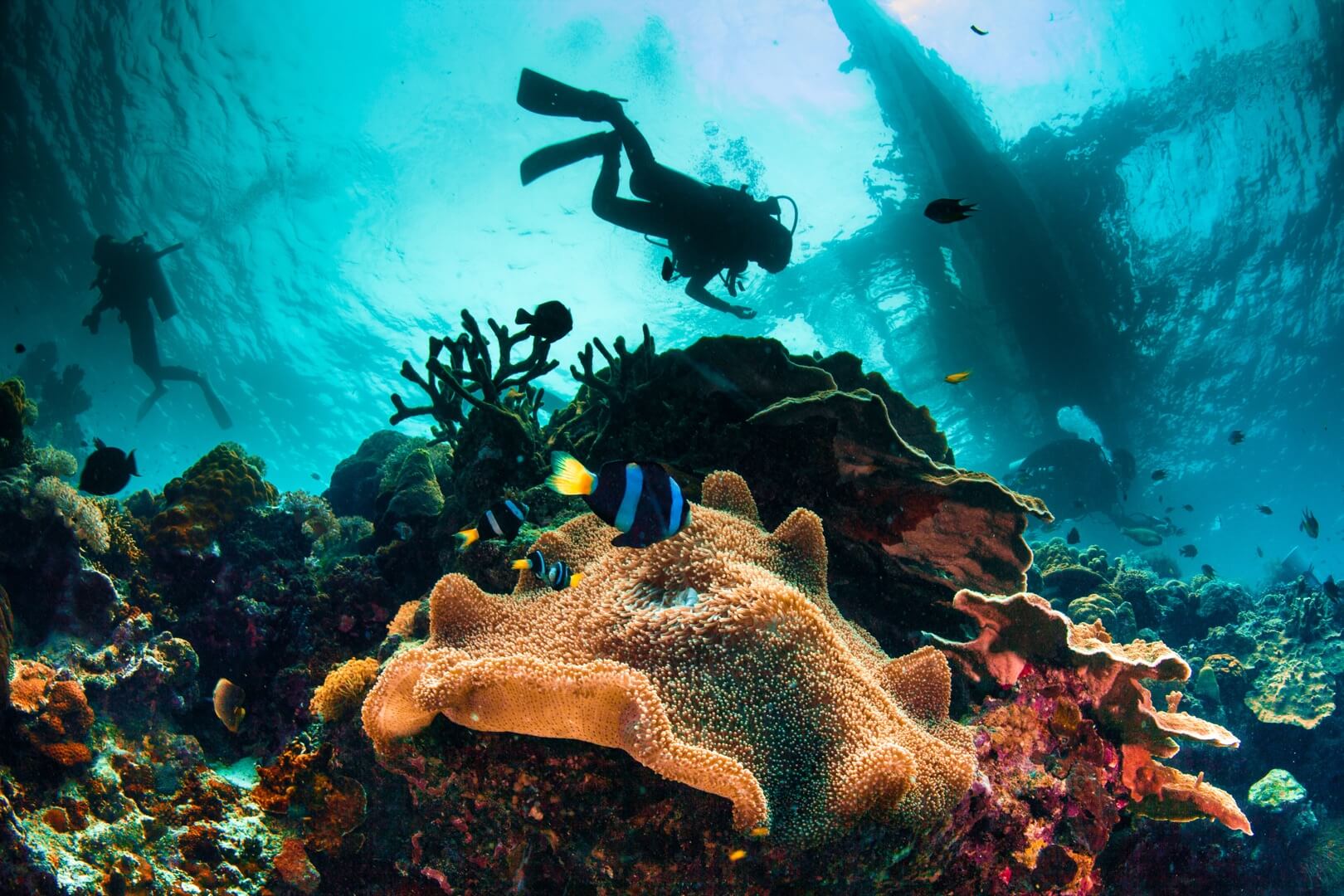 Best Places For Scuba Diving In Southeast Asia