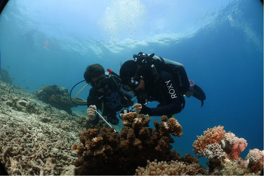 Protecting the Reefs and Seas of Sabah
