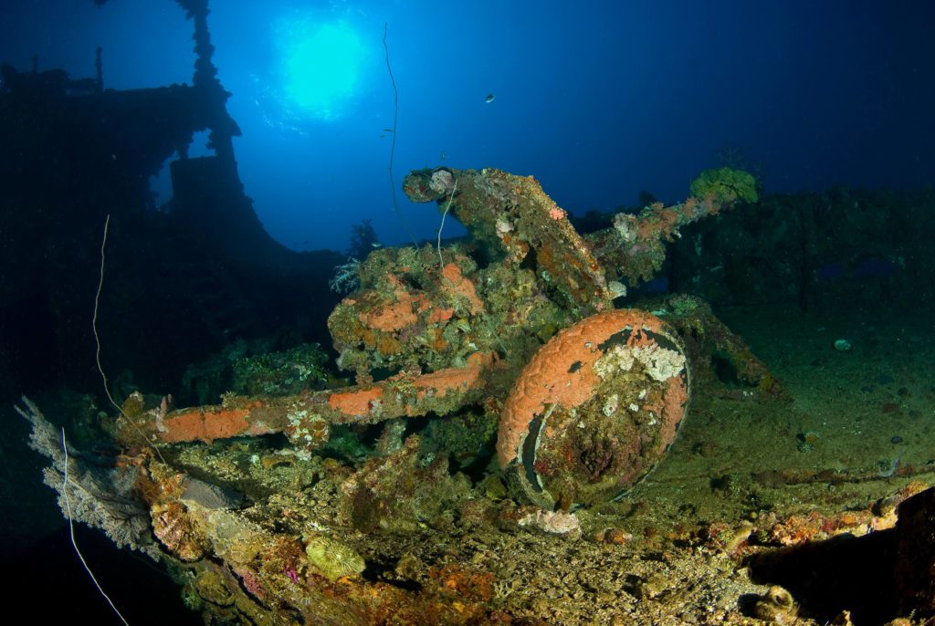 Best Places For Scuba Diving in Micronesia and the Pacific Ocean 8 Field Gun - Scuba Diving Micronesia and the Pacific Ocean