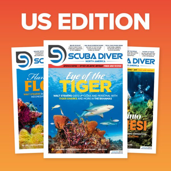 scuba diver north america magazine subscription 1