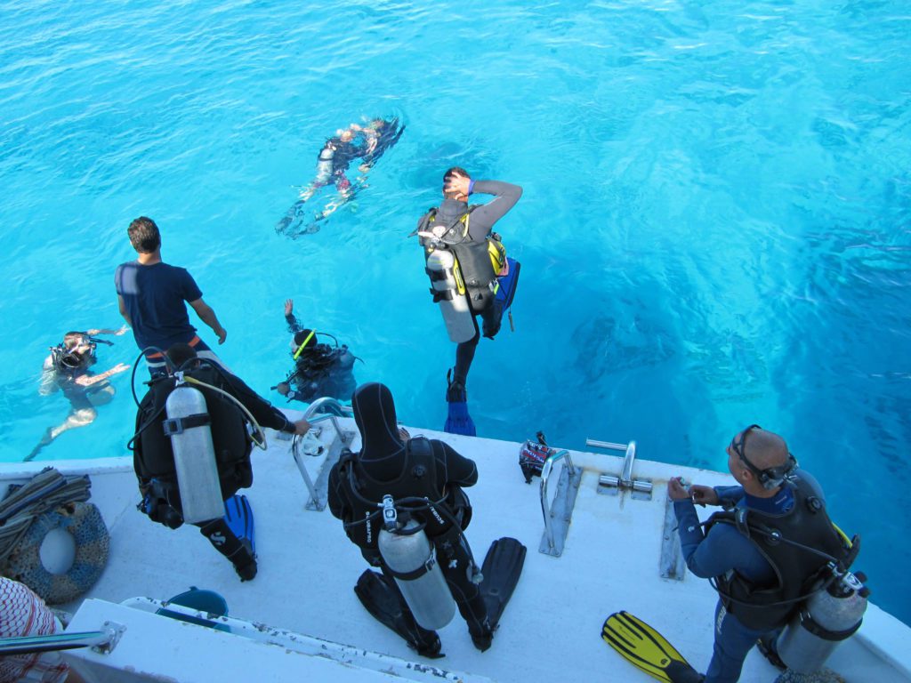 Liveaboard Diving: 10 Top Tips For Booking Your First Liveaboards 1 Liveaboard Diving: Heading out for a dive - Credit Shutterstock.com