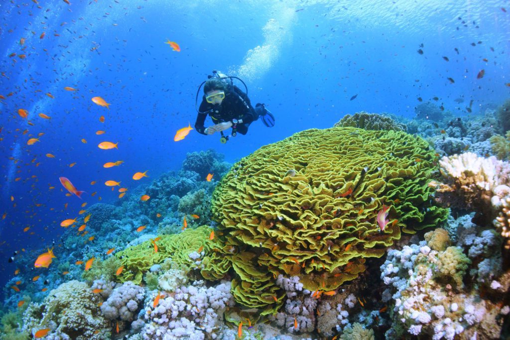 Eilat - Scuba Diving In The Middle East
