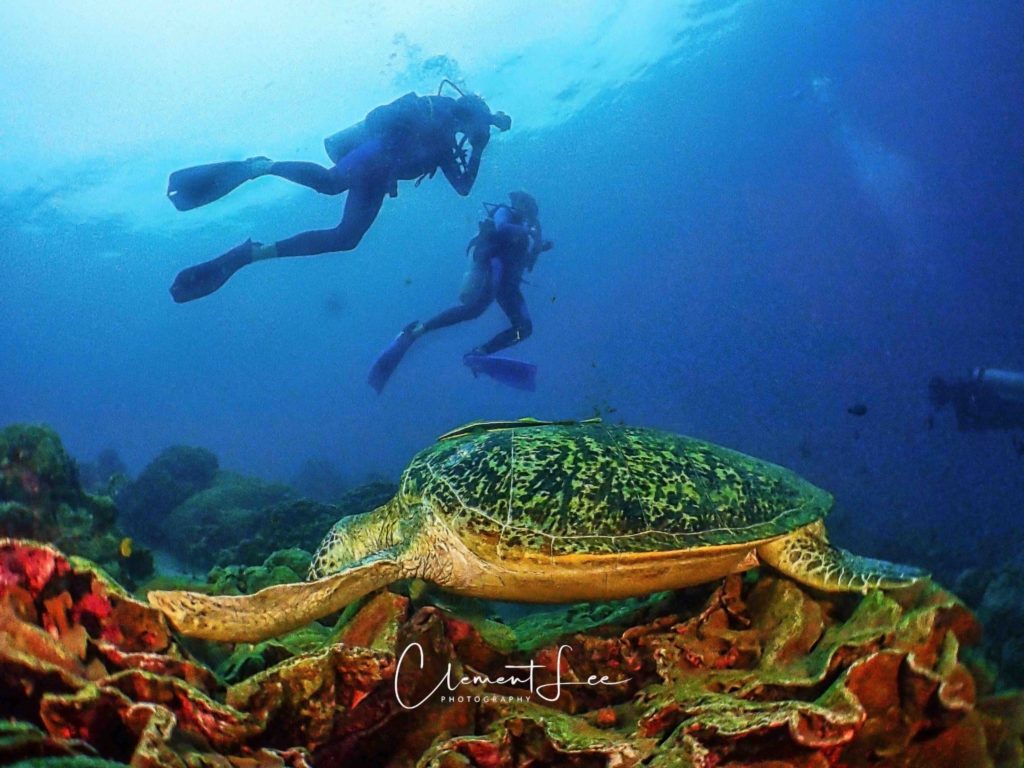 Stunning Borneo Divers Mabul Resort