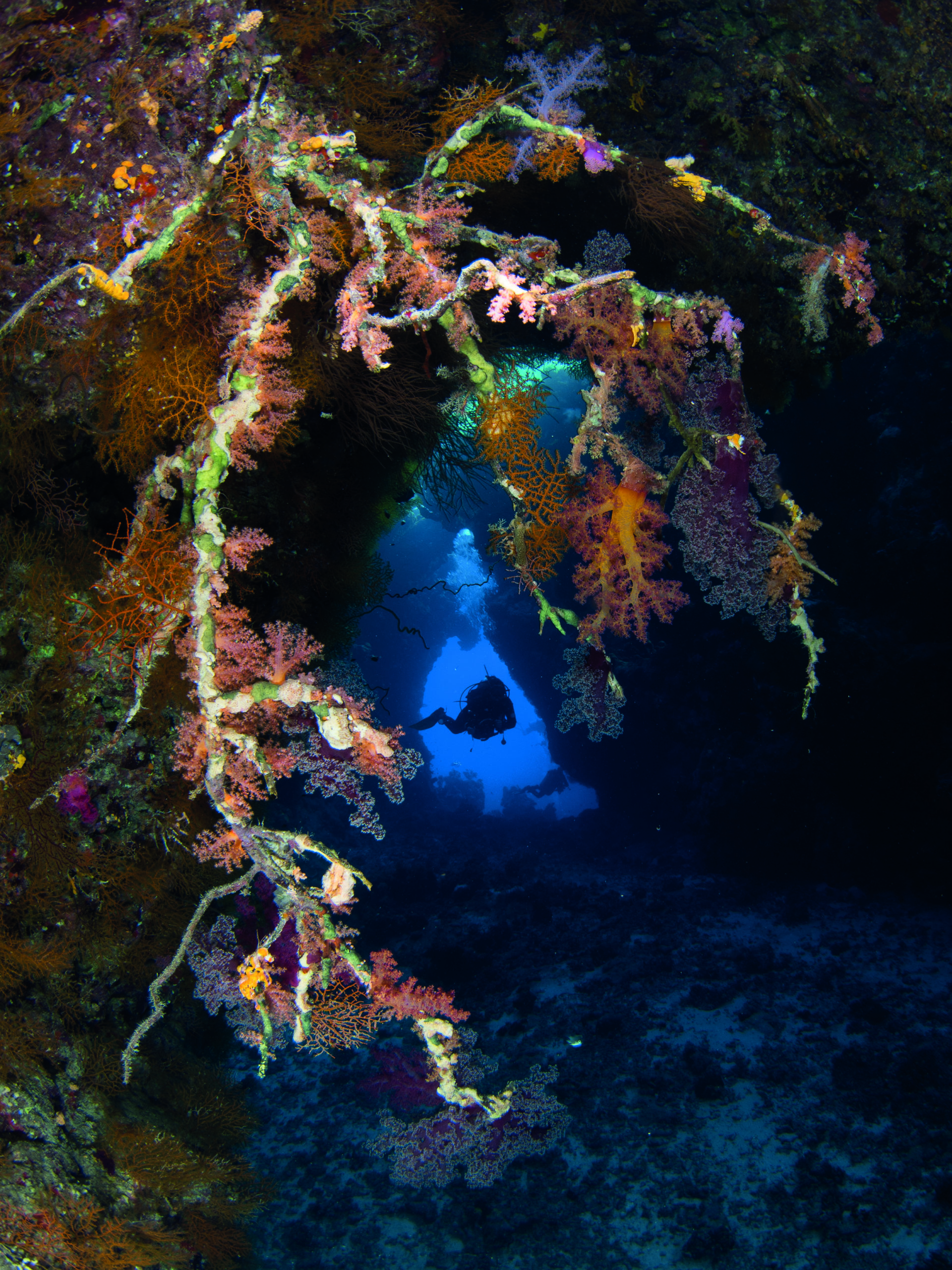 This shot is based on a famous picture from Martin Edge. A soft coral encrusted seafan structure in the foreground is the image focal point, it helps framing a diver silhouetted against the cavern entrance in the background.