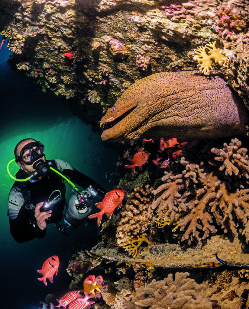 The Barge Dive Site In The Northern Red Sea 5 Diver Barge Moray