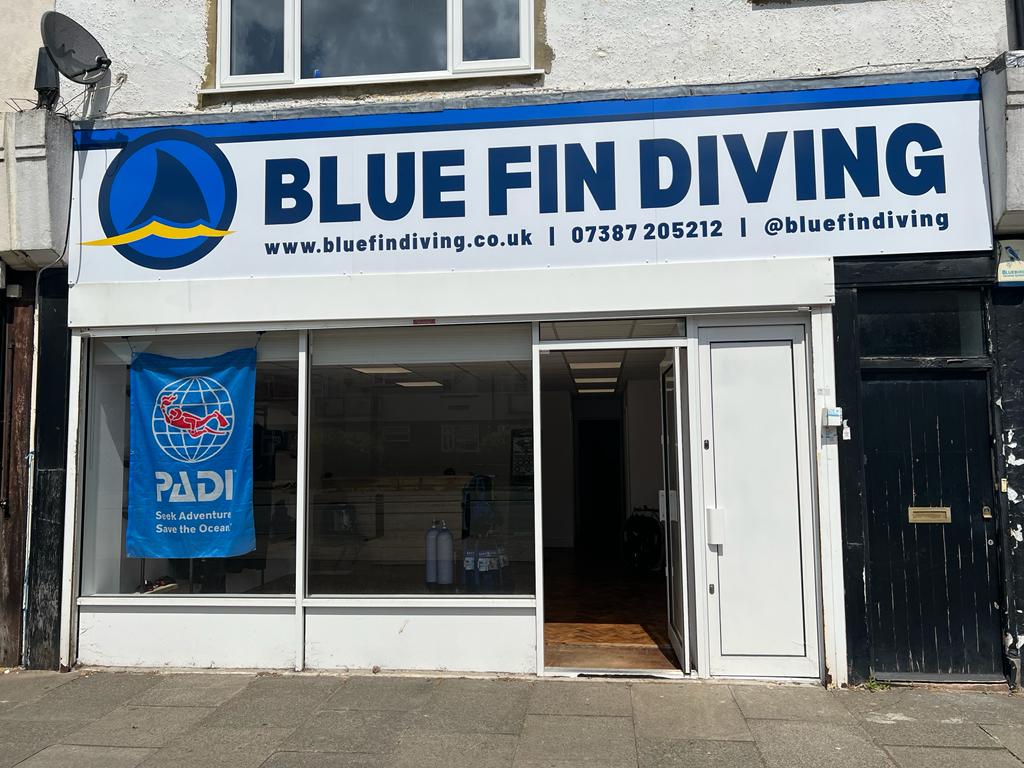 Blue Fin Diving