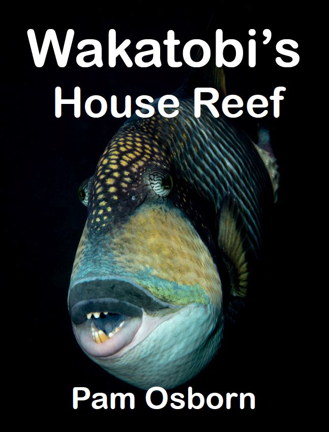 Pam Osborn explores Wakatobi's House Reef 1 Pam Osborn