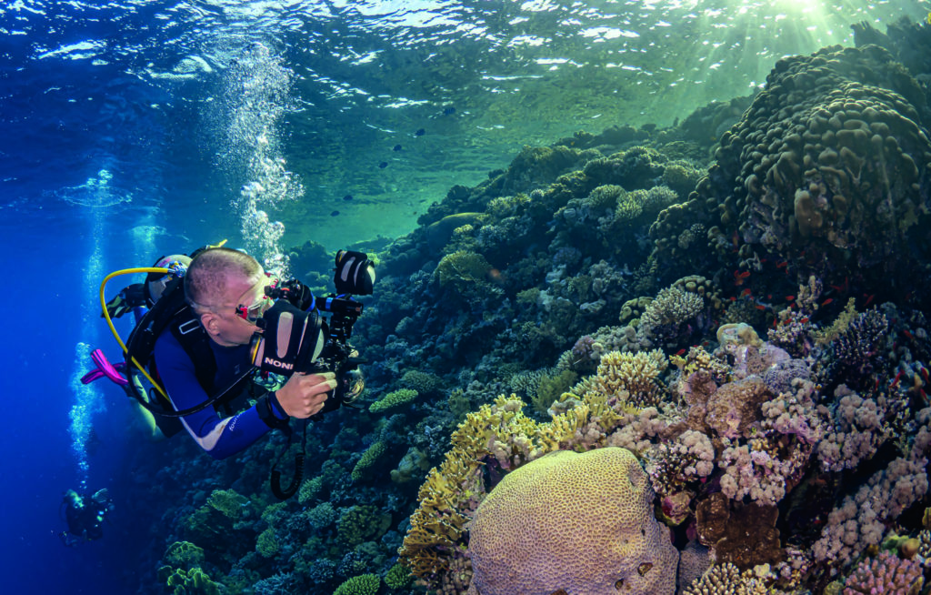  diver lining up a dappled light photo