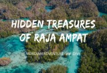 Hidden Treasures of Raja Ampat
