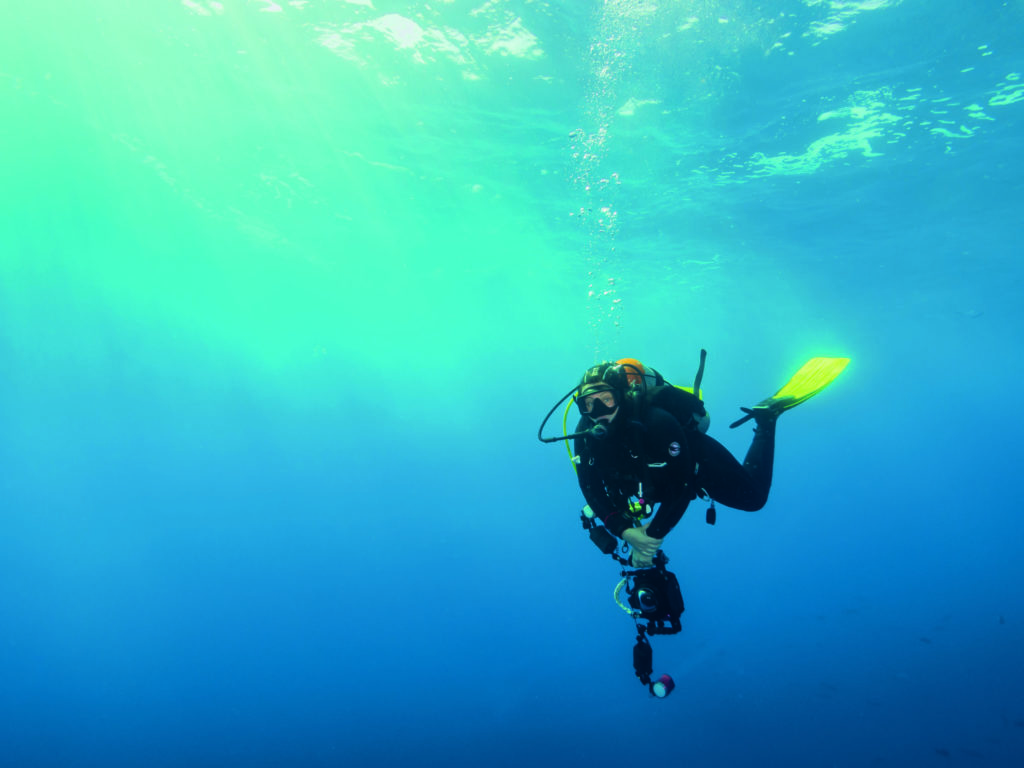 MARIO VITALINI Underwater Photographers