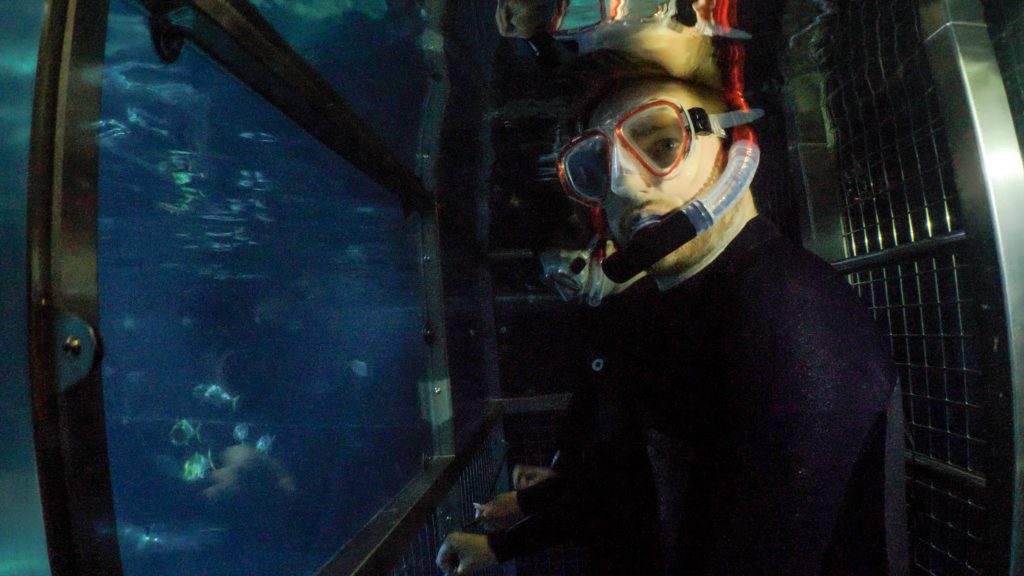 Snorkel the National Marine Aquarium 2 National Marine Aquarium
