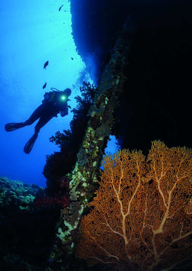 The stern of the Kingston, Egyptian Red Sea with multiple elements in the background.