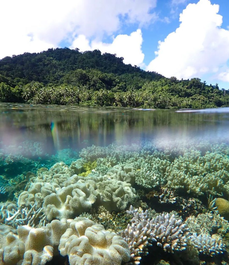 Reef Restoration Fiji