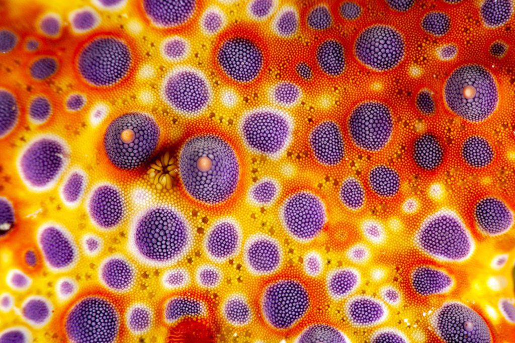 Photo of the Year Competition 4 Competition 4