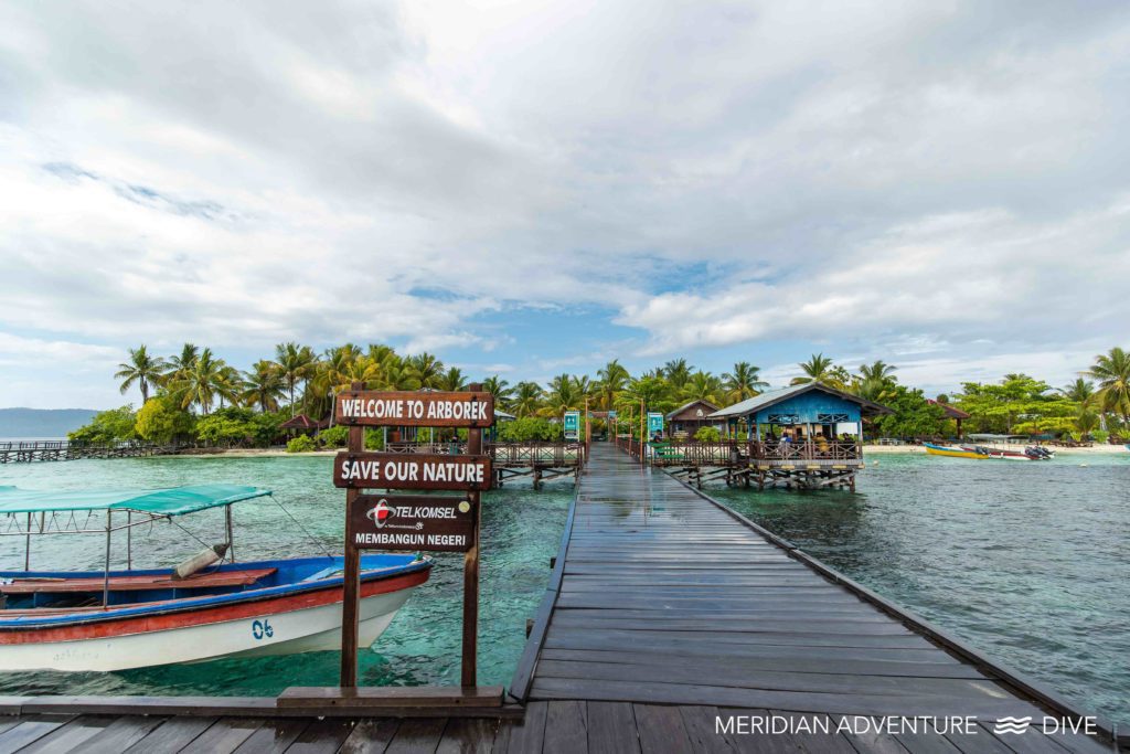 What to Expect in Magical Raja Ampat