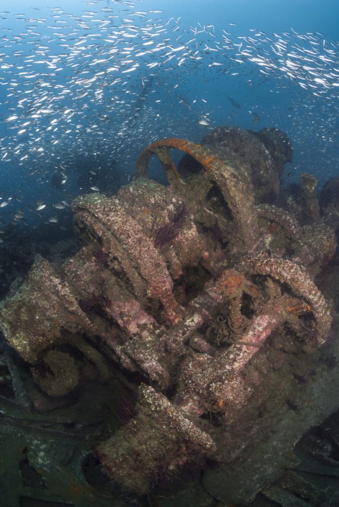 Wreck of the Caribsea, North Carolina