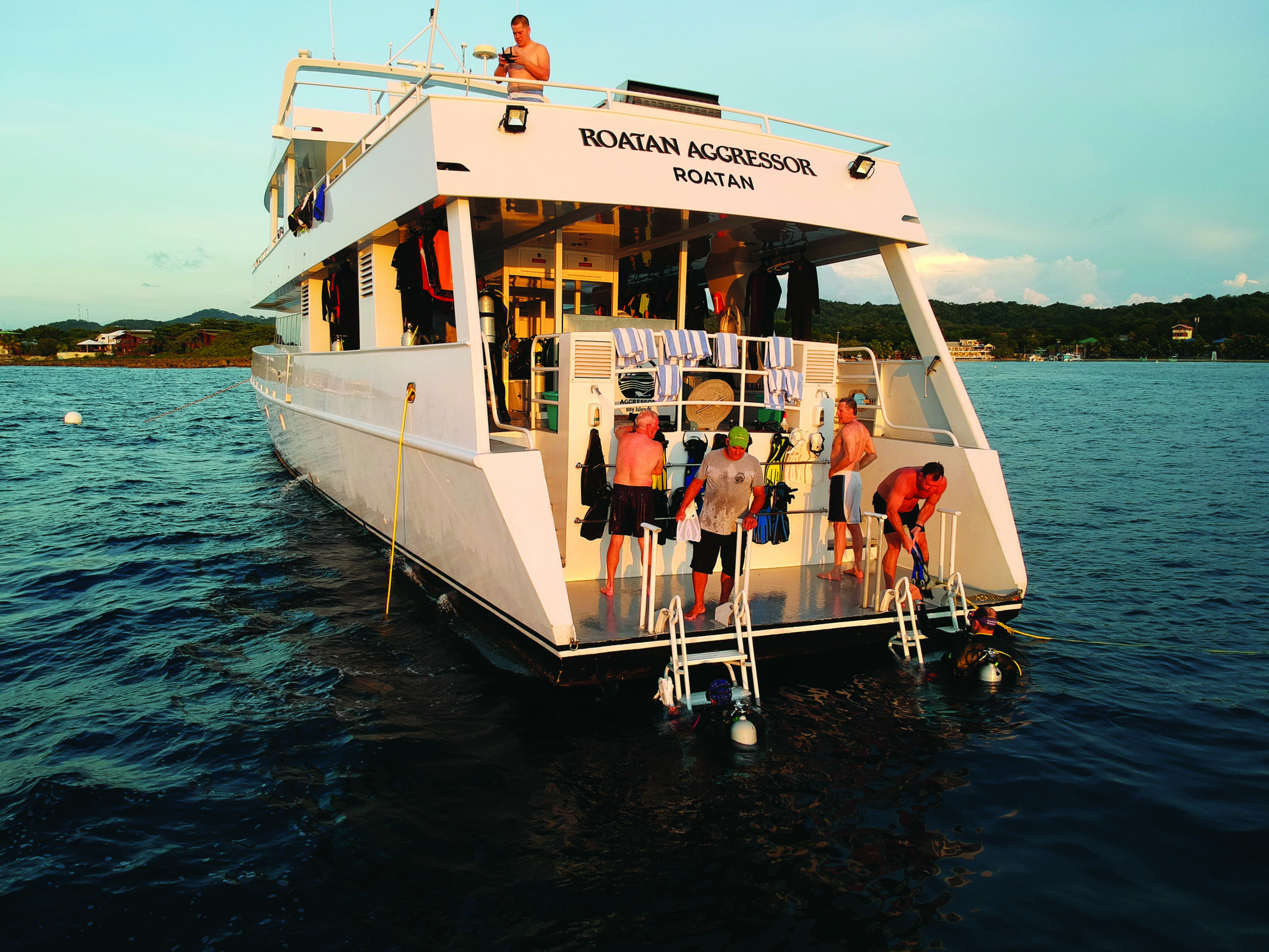 Underwater Delights Around Roatan In The Bay Islands Of Honduras