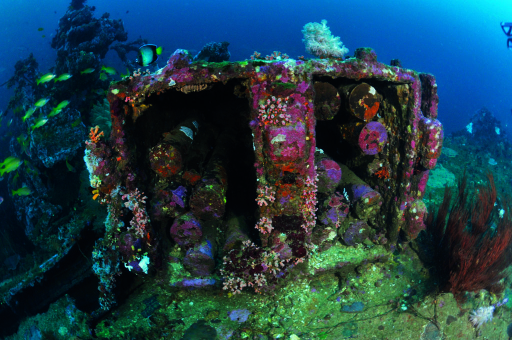 Shell cases remain intact on the wreck