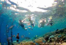 Amazing Dive Deals for Breathtaking Raja Ampat