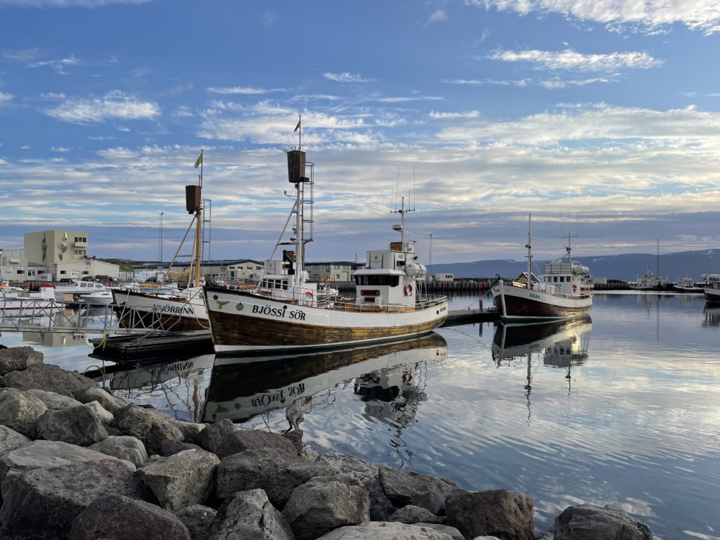 Whale-watching vessels in Husavik harbour