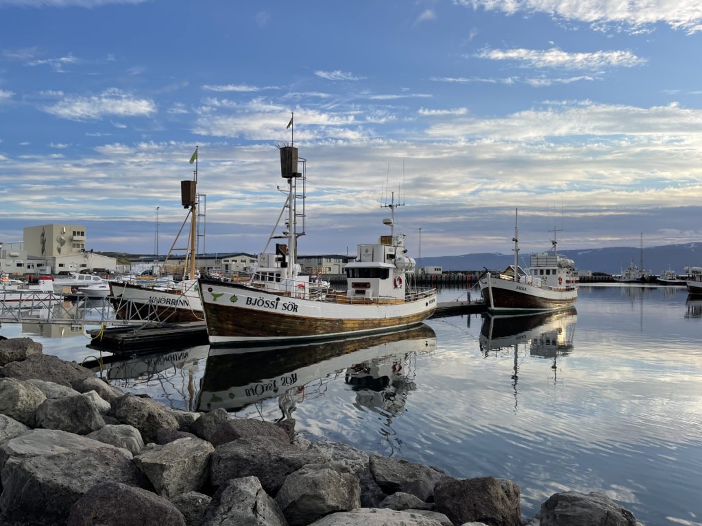 Iceland Adventure, Day Five 4 Whale-watching vessels in Husavik harbour