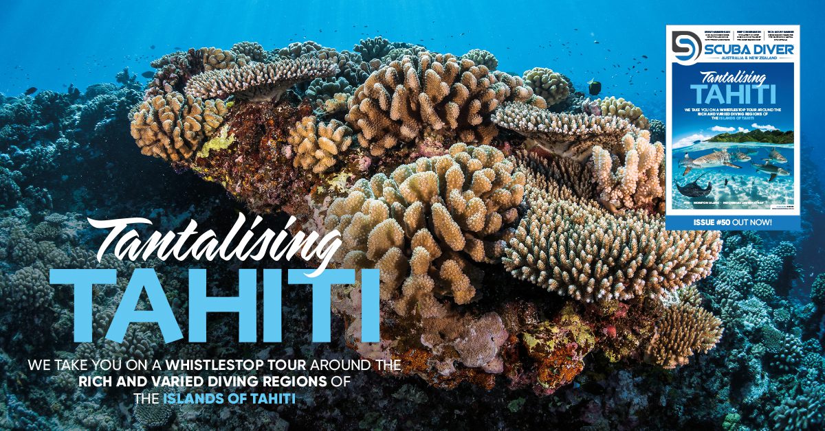 Scuba Diver ANZ Issue 50 Out Now