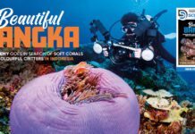 Scuba Diver ANZ Issue 51 Out Now