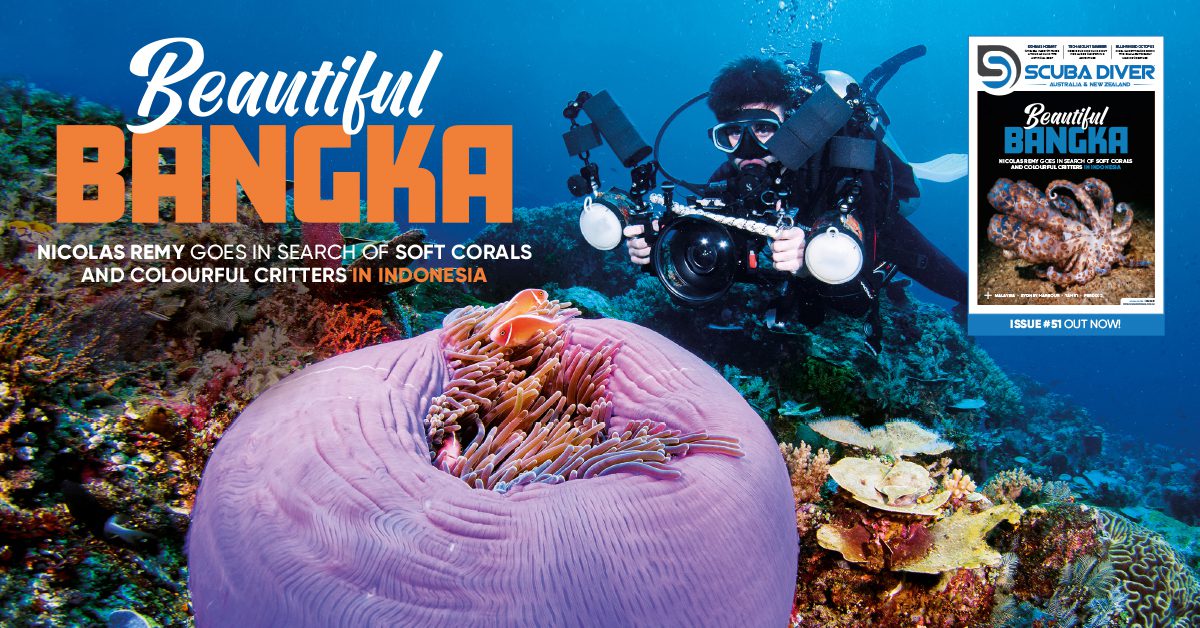 Scuba Diver ANZ Issue 51 Out Now