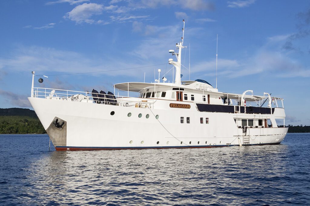 Wakatobi dive yacht Pelagian
