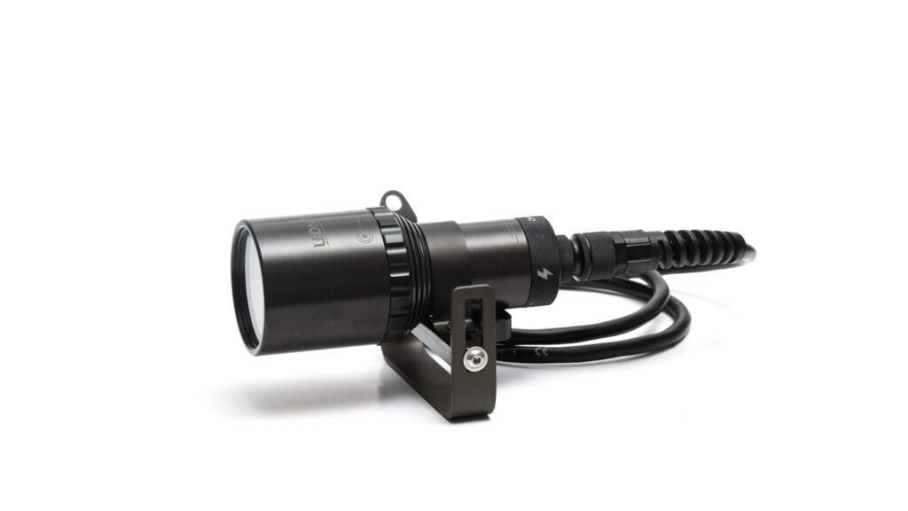 Top 10 Dive Light Buying Guide 4 Ammonite Nautilus