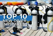 Top 10 Mistakes New Divers Make