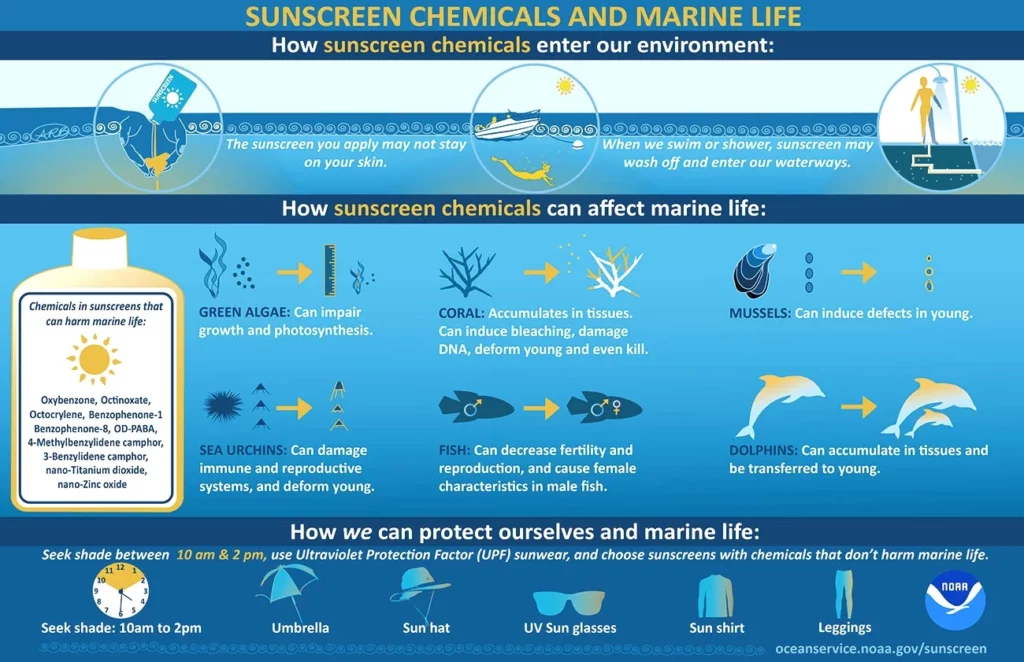 Game Changing Reef Safe Sunscreen