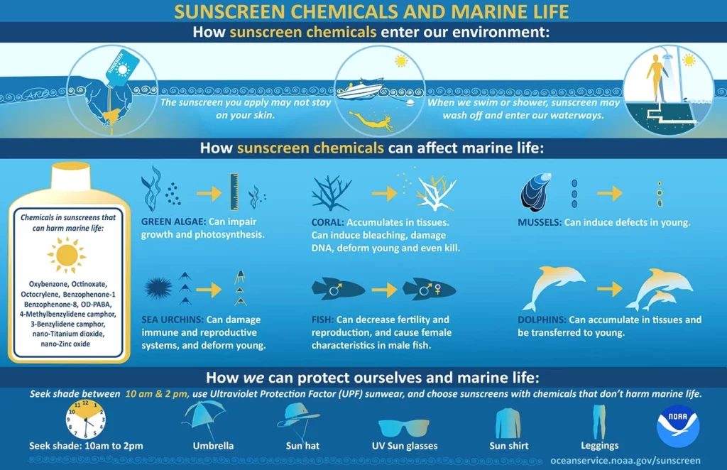 Game Changing Reef Safe Sunscreen 1 Game Changing Reef Safe Sunscreen