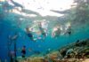 Raja Ampat Scuba Diving Specials