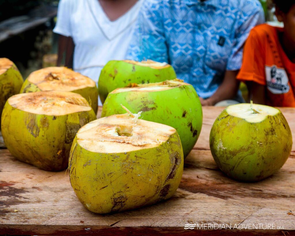 Surprising Health Benefits of Coconuts