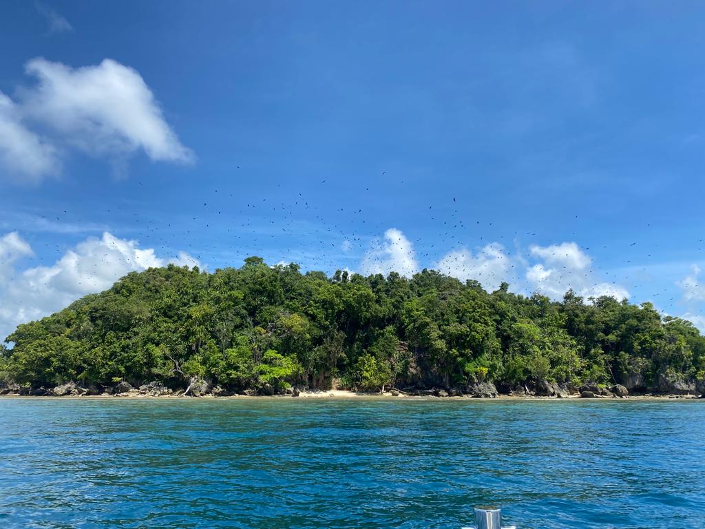 Raja Ampat Sunset Fruit Bat Migration