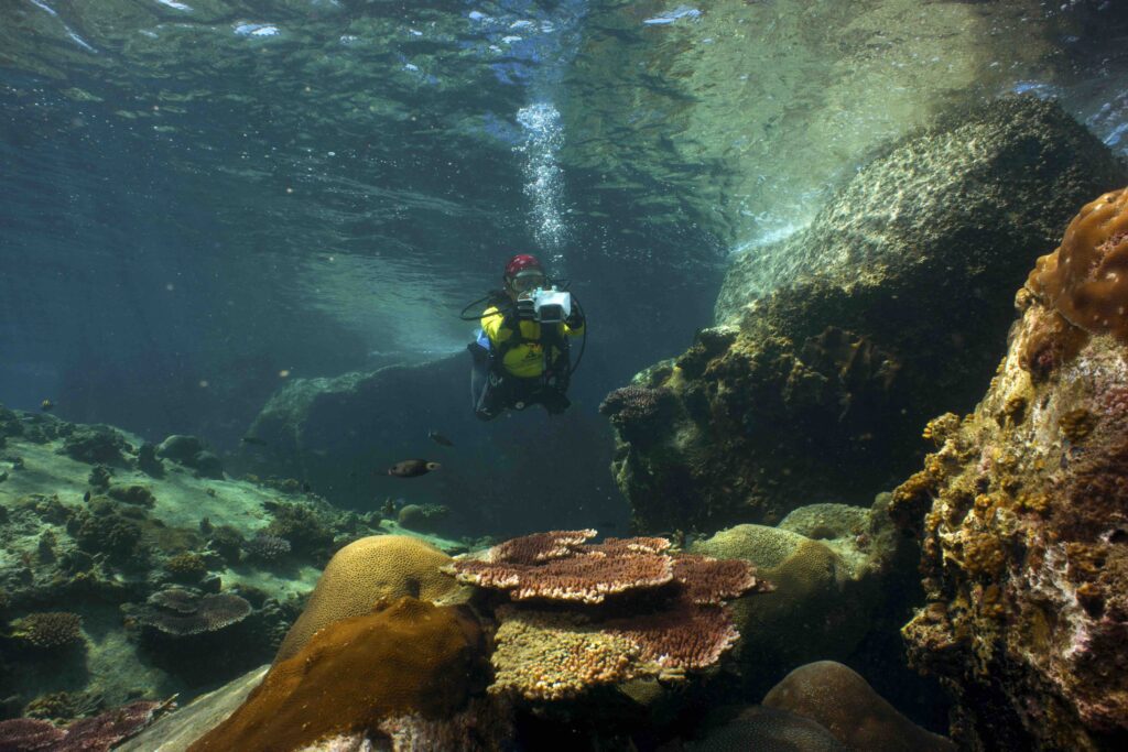 Top 5 Diving Destinations in Malaysia 