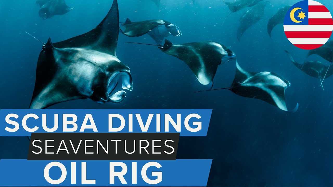 SeaVentures Oil Rig Dive Centre | #scuba #malaysia | @ScubaDiverMagazine