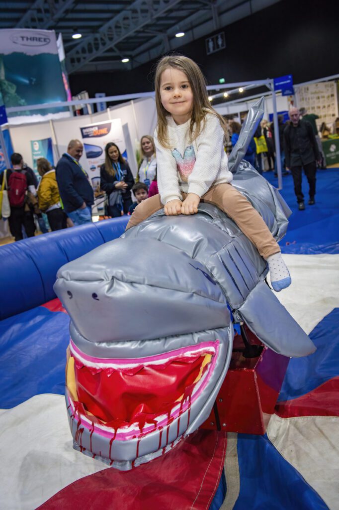 Bruce - the only shark you should be riding... 1 Bruce