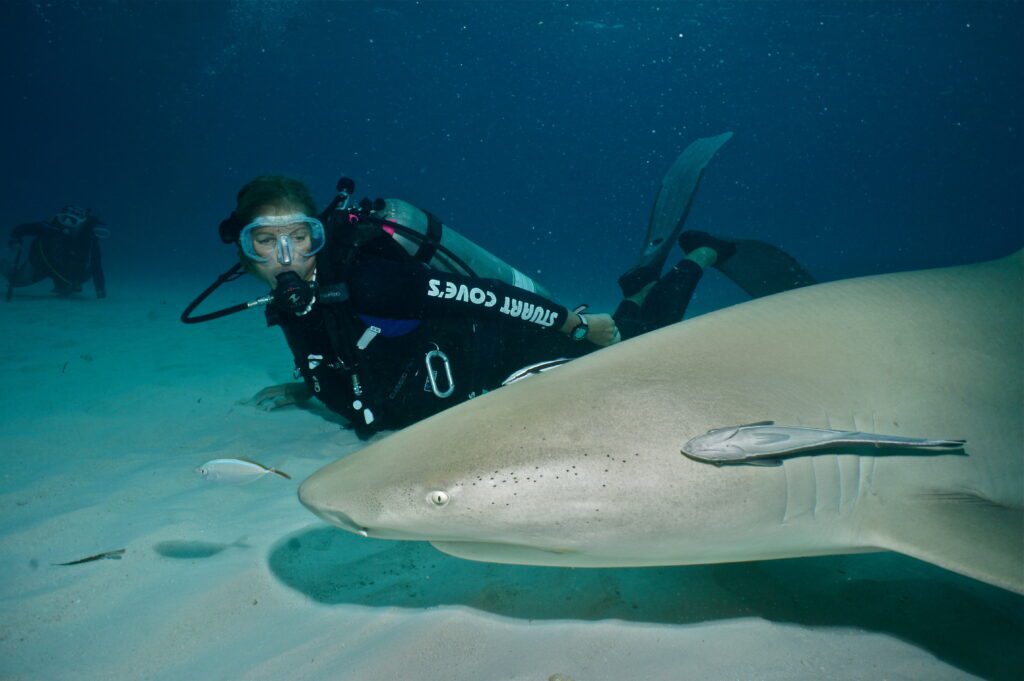 Liz Parkinson with a lemon shark in the Bahamas