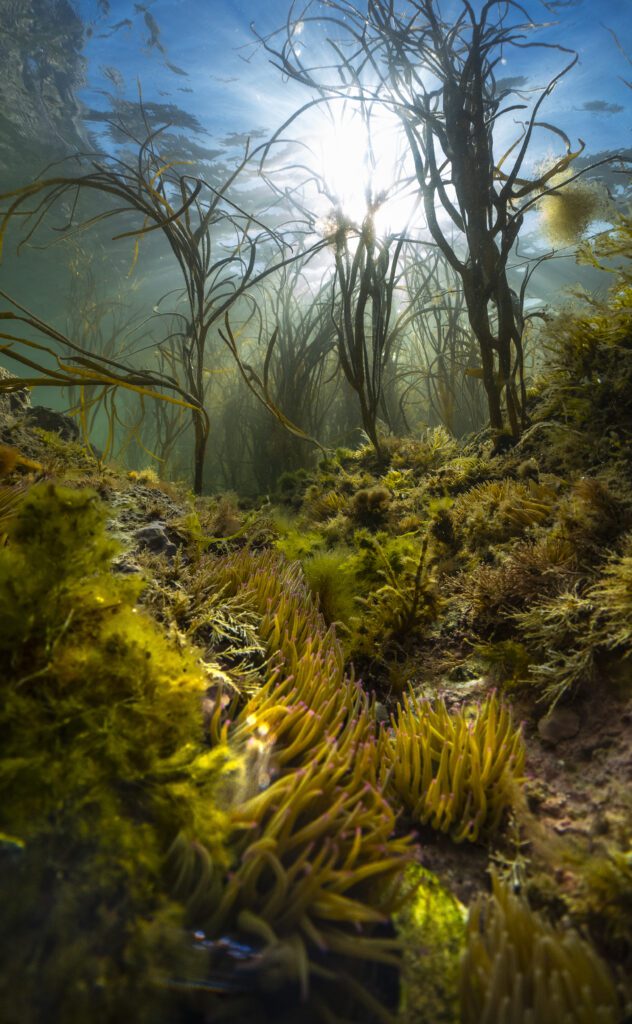 British Waters wide angle winner Theo Vickers