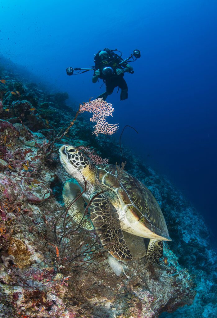 The Maldives and Cyprus showcased at GO Diving Show 1 The Maldives