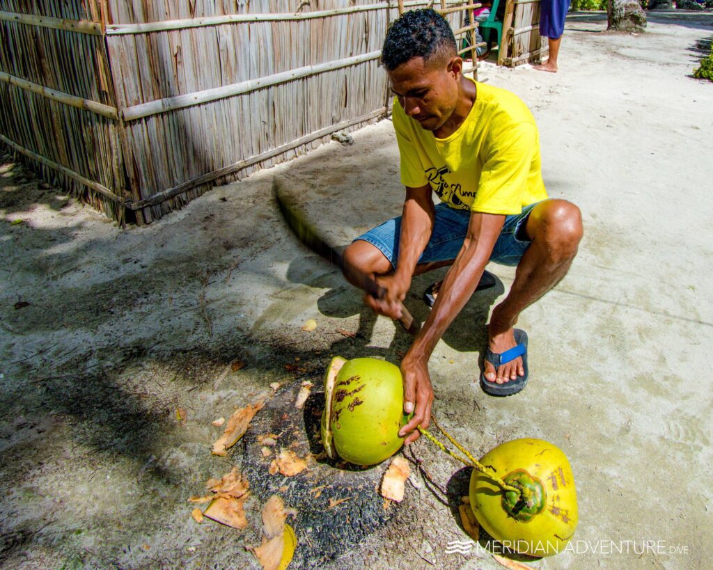 Health Benefits of Coconut Water for Divers