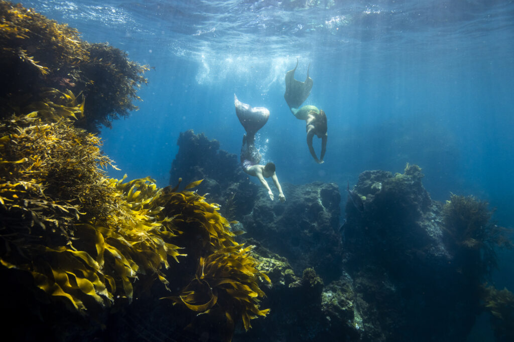 PADI celebrates International Mermaid Day 3 mermaid