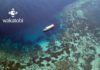 Wakatobi Dive Resort dive boat.
