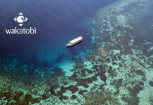 Wakatobi Dive Resort dive boat.