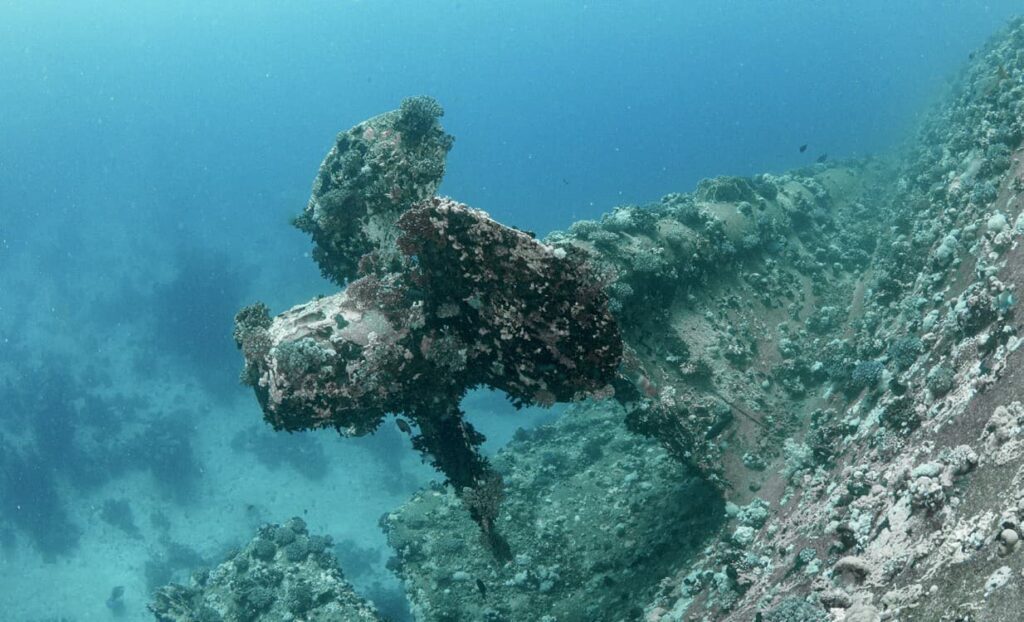 One of the enormous propellers