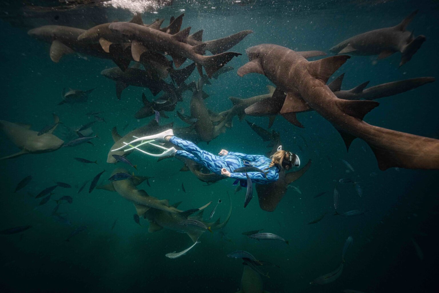 Shark Biologist Launches First Australian Wetsuit Brand For Women