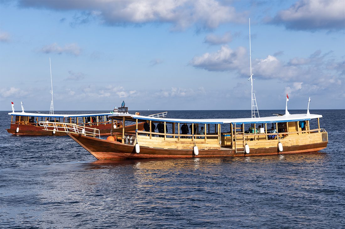Two of Wakatobi's giant size dive/snorkel boats. Though traditional in design, they are all fitted with modern safety and navigation equipment such as oxygen, GPS and marine radios.